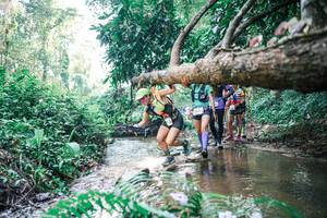 BIB: 
                            <button type="button" onclick="openModal(25459631)" class="btn btn-primary btn-sm float-right btn-popup" data-toggle="modal" data-target=".modal-high-quality">
                        <i class="fas fa-shopping-cart"></i> Add to Cart
                    </button>
                                            <button type="button" onclick="isThisMe(25459631, true)" class="btn btn-success btn-sm float-right btn-popup btn-isme hidden" data-toggle="tooltip" data-placement="bottom" title="นี่คือรูปของคุณใช่ไหม คลิกที่นี่เพื่อเอาเข้าอัลบั้ม">
                        <i class="fas fa-plus"></i> Add to album
                    </button>
                    <button type="button" onclick="isThisMe(25459631, false)" class="btn btn-warning btn-sm float-right btn-popup btn-isnotme hidden">
                        <i class="fas fa-ban"></i> Remove from album
                    </button>